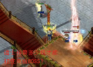 ��ʿ���޶��ټ����ܿ�ס�߼�BOSS��