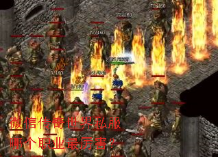΢�Ŵ�������˽���ĸ�ְҵ��������