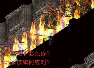����������ô�죿��Ҹ����Ӧ�ԣ�