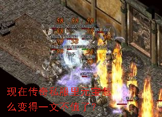 ���ڴ���˽����Ԫ����ô���һ�Ĳ�ֵ�ˣ�