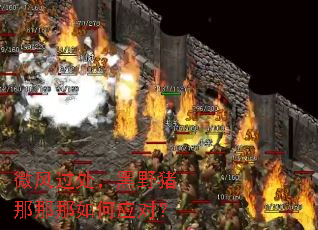 ΢���������Ұ�����������Ӧ�ԣ�