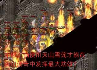 �����ȷʹ����ɽѩ����������ɽ�����з������Ч��