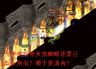 ���淨ʦ������֩�뻹�Ǿ��Ͷ�ǳ棿�ĸ����ʺϣ�