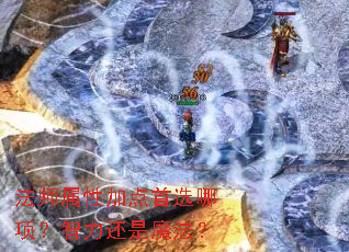 ��ʦ���Լӵ���ѡ�����������ħ����