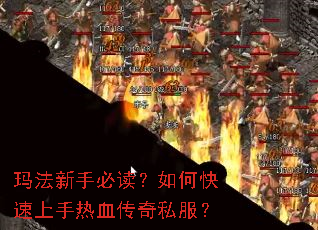 �귨���ֱض�����ο���������Ѫ����˽����