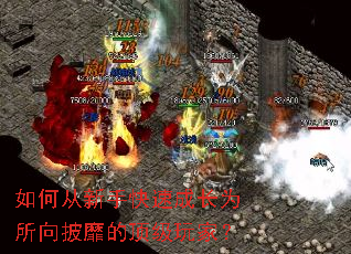 ��δ����ֿ��ٳɳ�Ϊ�������ҵĶ�����ң�