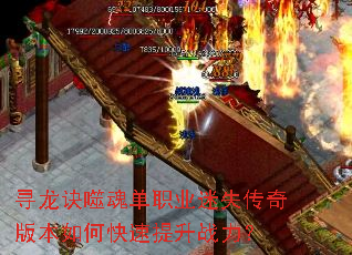 Ѱ�����ɻ굥ְҵ��ʧ����汾��ο�������ս����