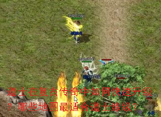 ��ʿ�ڸ��Ŵ�������ο�����������Щ��ͼ���ʺϵ�ʿ������