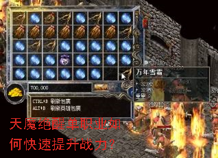 ��ħ���ѵ�ְҵ��ο�������ս����