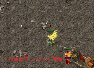 70����ʿ����ٻ������è��