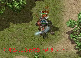 ������ɻ��ܴ��渱���ռ�Boss��