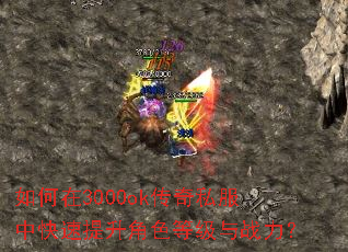 �����3000ok����˽���п���������ɫ�ȼ���ս����