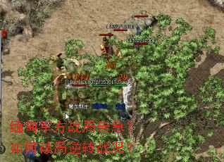 ������ս�ָ漱������ƾ���תս����