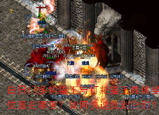�����Ŷ๳è���붤��è����������λ���������ο����ҵ����ǣ�