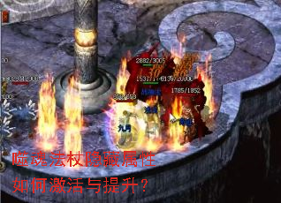 �ɻ귨������������μ�����������