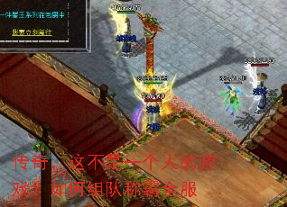 ���棬�ⲻ��һ���˵���Ϸ�������ӳư�ȫ��