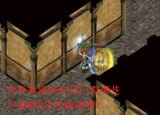 �����ҷ�������������Щ��ͬNPC��������⣿