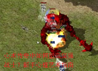 ������������������ǿսʿ��������������ָ��