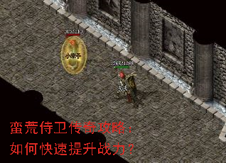 �����������湥�ԣ���ο�������ս����