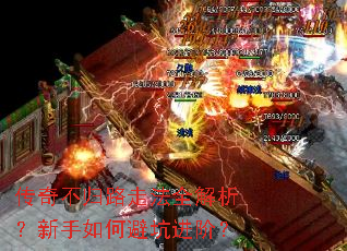 ���治��·�߷�ȫ������������αܿӽ��ף�