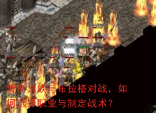 ���������벼�����ս�����ѡ��ְҵ���ƶ�ս����