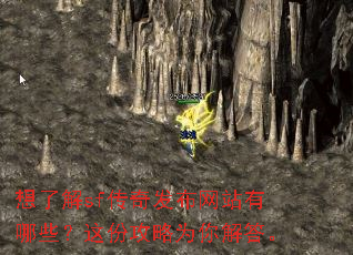 ���˽�sf���淢����վ����Щ����ݹ���Ϊ����