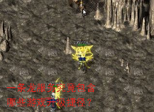һ�������񾿾�������Щ��Ϸ�����ݾ���