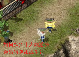 ���ָ��ʮ�����ι���Ӯ�ÿ��ս����